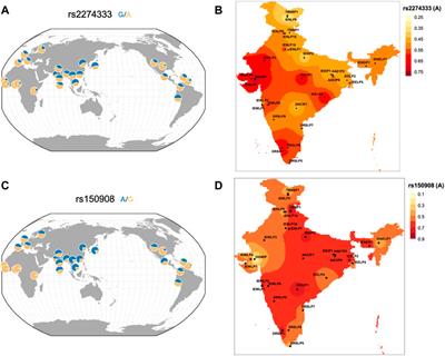 Landscape of Variability in Chemosensory Genes Associated With Dietary Preferences in Indian Population: Analysis of 1029 Indian Genomes